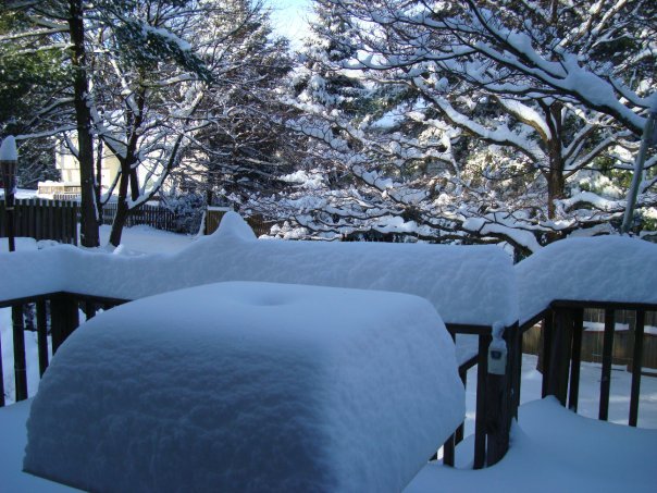 Donald Swan's album, Blizzard_12_2009