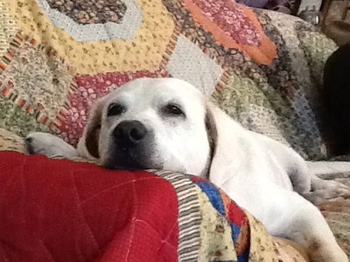 Susan (Dee) Dean's album, Timeline Photos