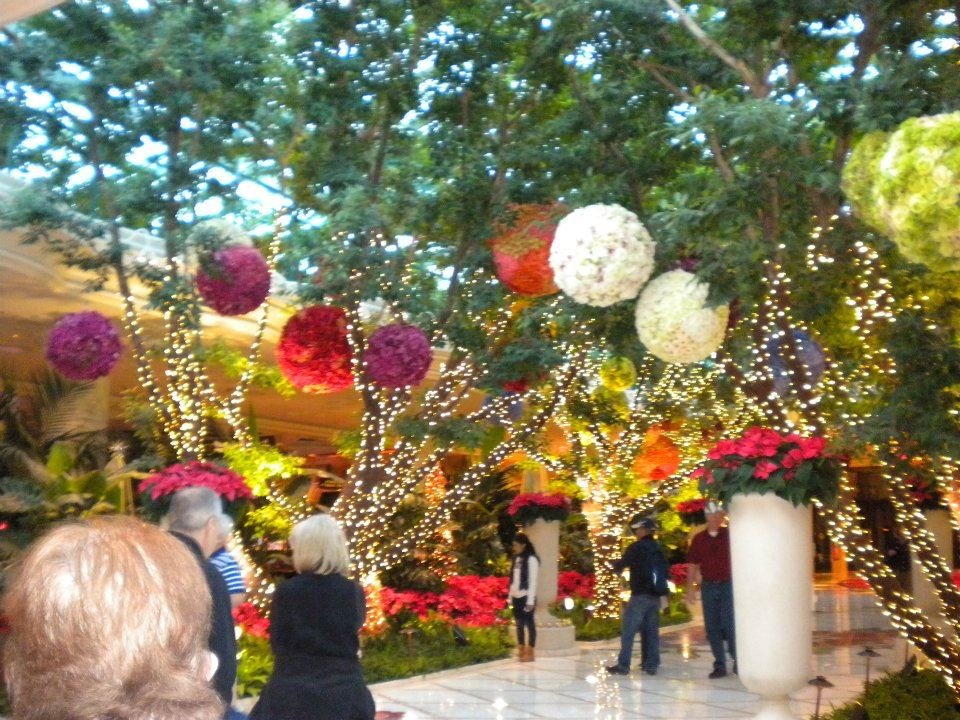 Tom Anderson Jr.'s album, December 10, 2011