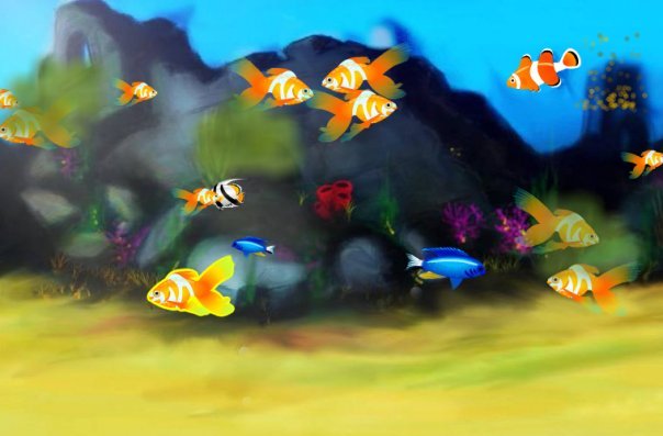 Lisa Barnes' album, Fish Life Photos