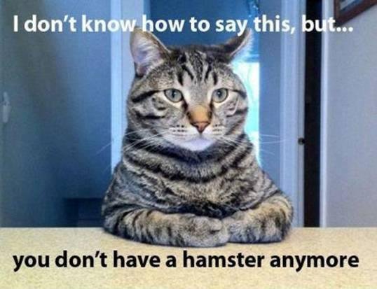 Karen Callanan's album, Timeline Photos