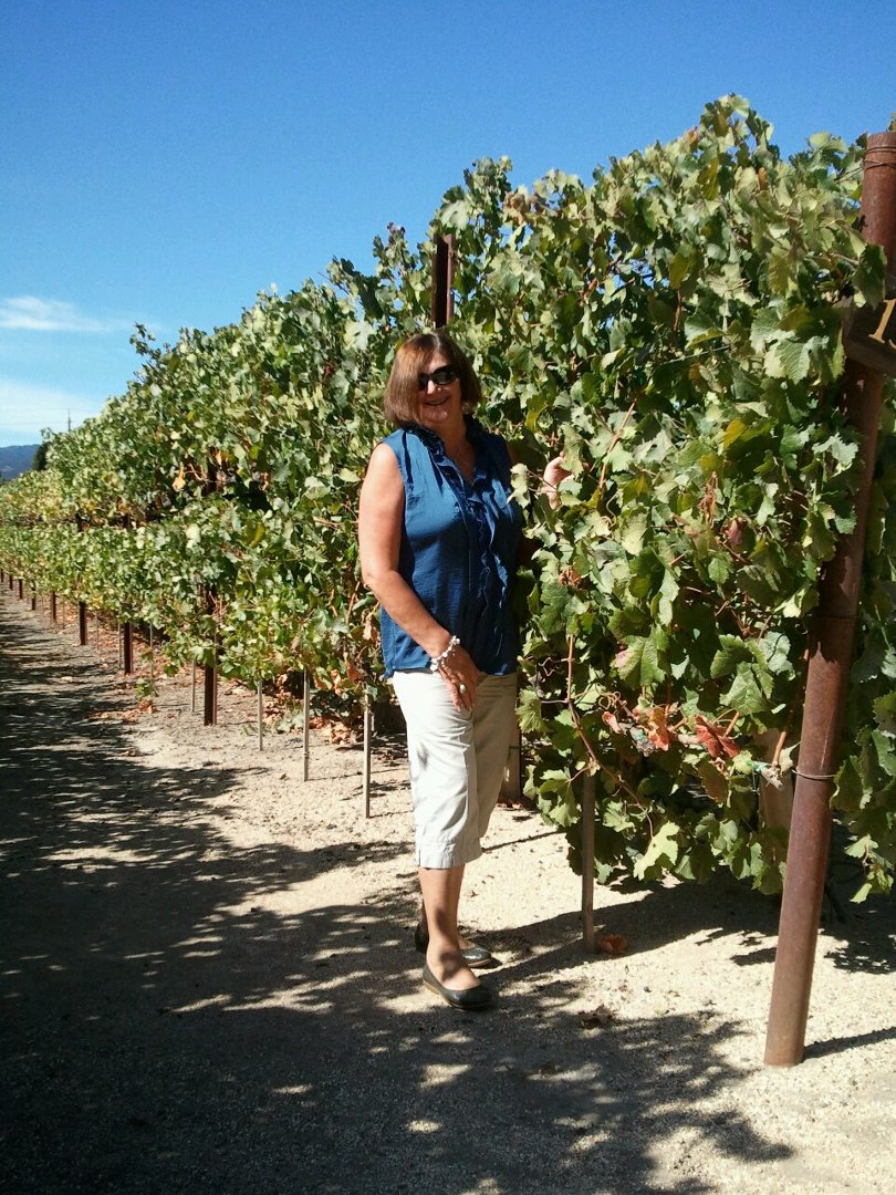Debra Sharp's album, Mobile Uploads