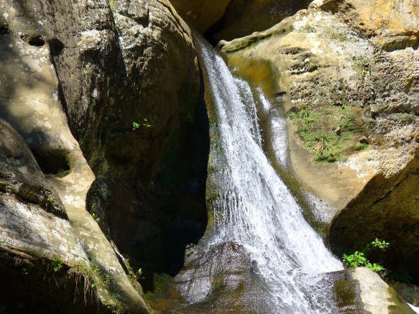 Jane Howard's album, Hocking Hills