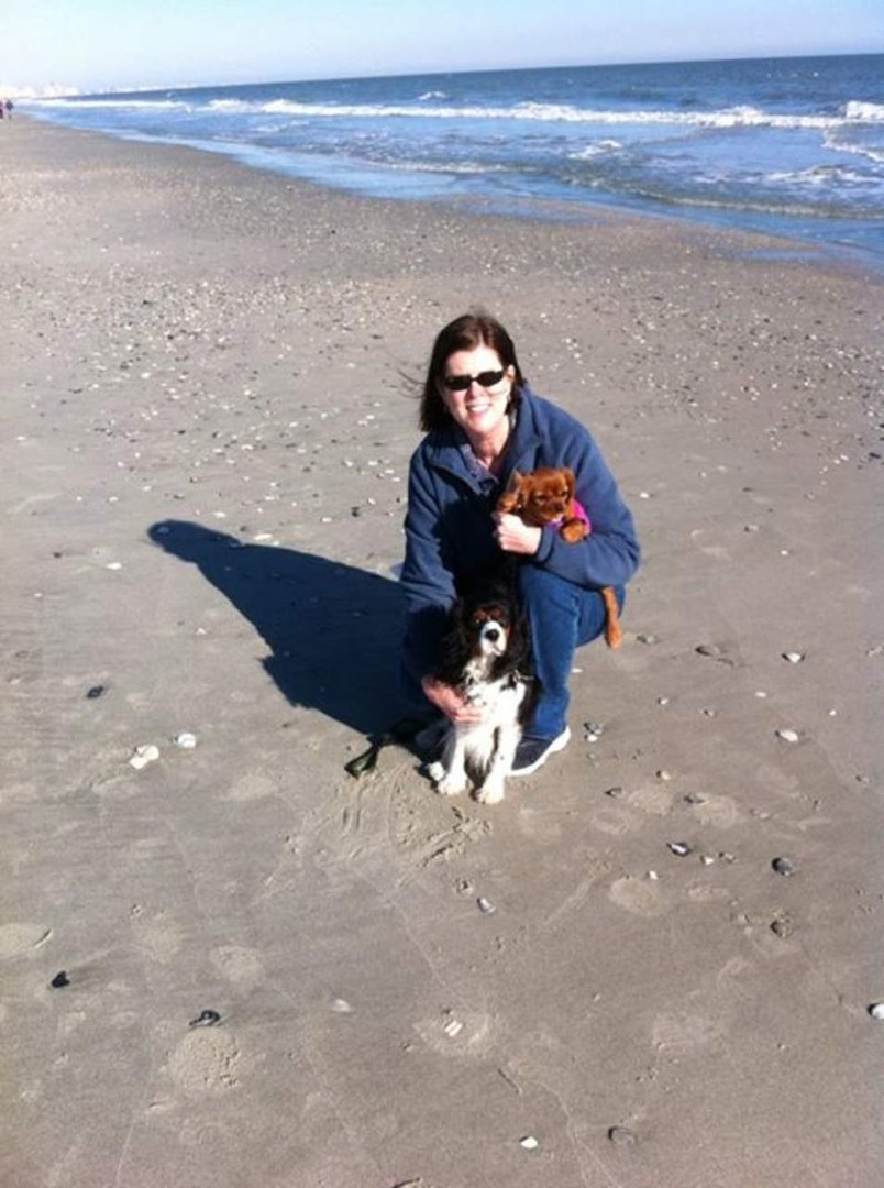 Lisa Hughes' album, Mobile Uploads