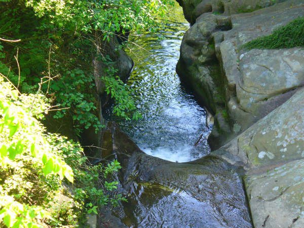 Jane Howard's album, Hocking Hills