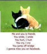 Joyce Baskind's album, Timeline Photos