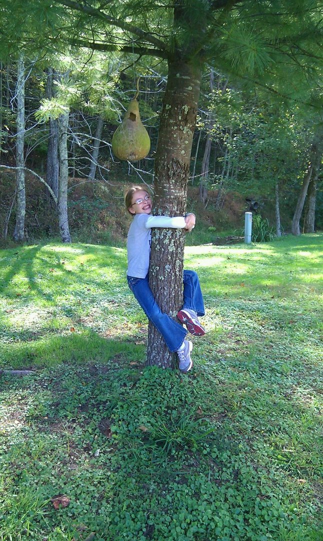 Sandra James' album, Mobile Uploads