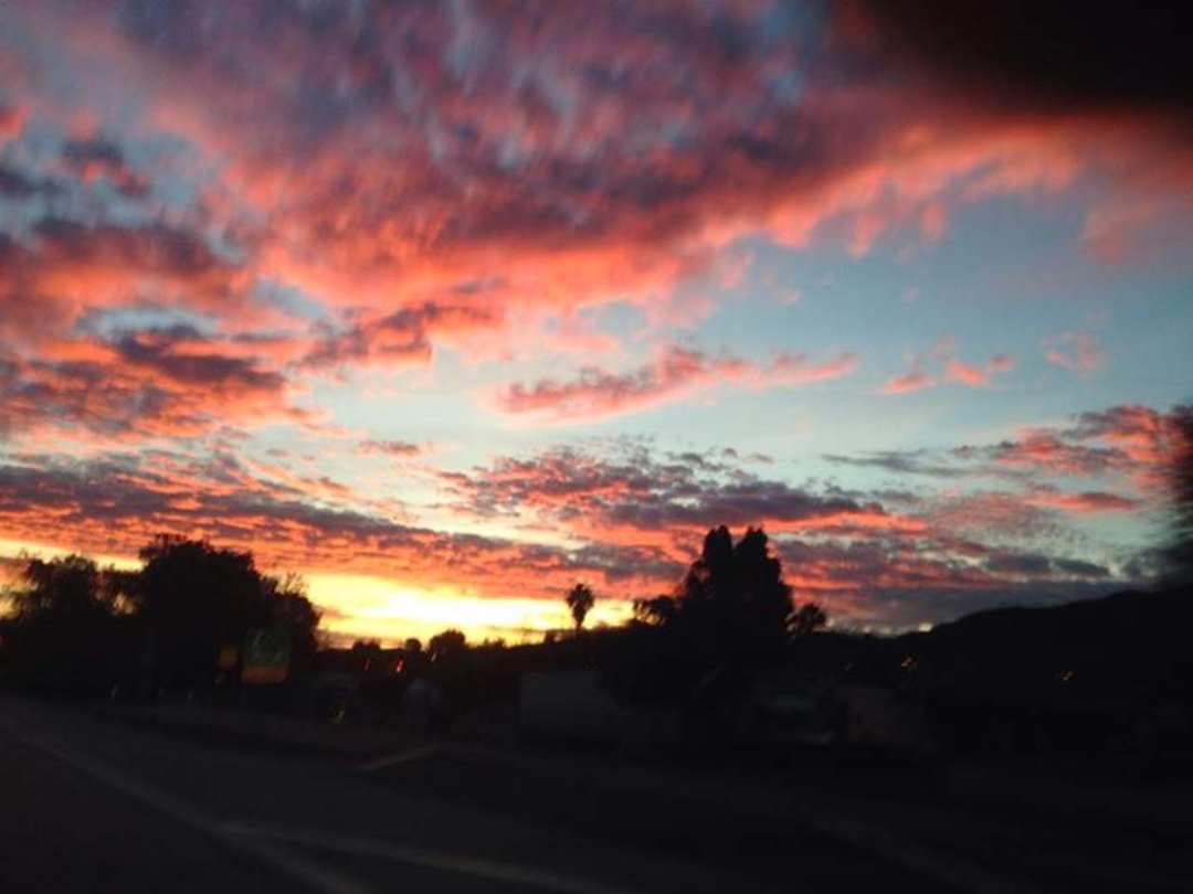Robert Nugent's album, Mobile Uploads