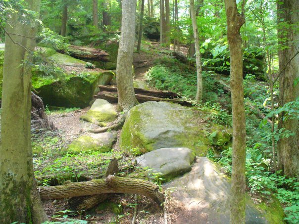 Jane Howard's album, Hocking Hills