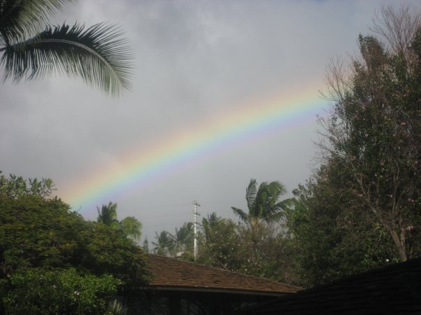 Marie Nellenback's album, Hawaii trip 2009