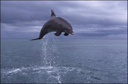 LYNN MARSHALL's album, Cover Photos