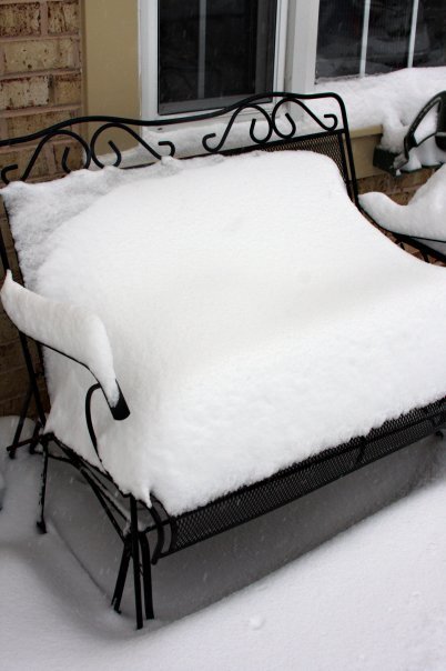 William Ralph's album, Snow in Dec. . .12/19/09