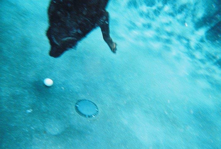 Rodger Darnall's album, Coco and Gavin