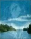 Vera George-Williams' album, Mobile Uploads