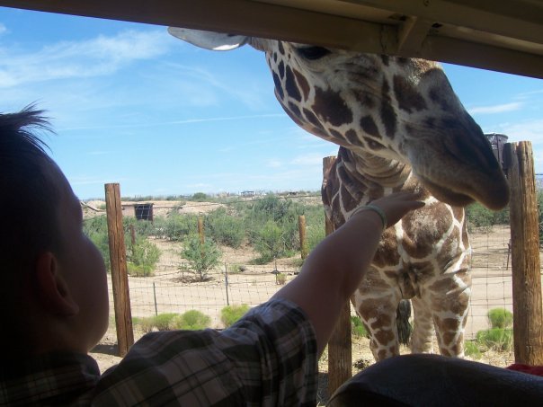 LINDA Dove-Aller's album, Arizona Trip