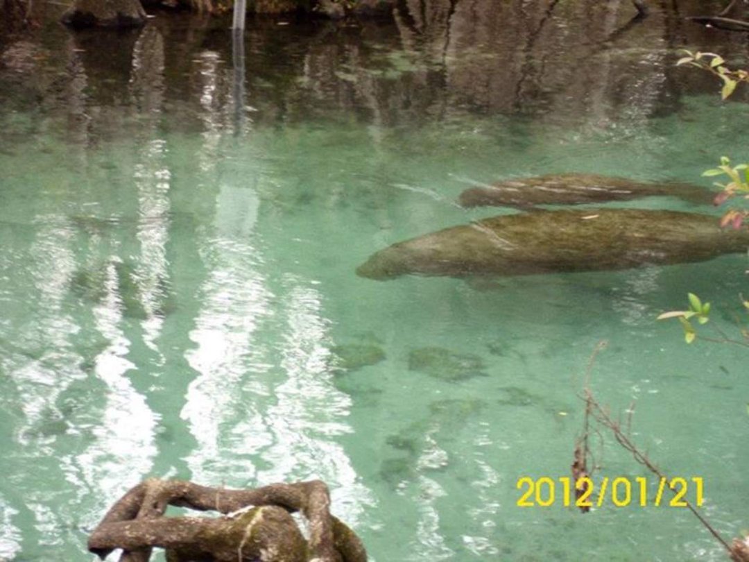 Daniel Berry's album, Three Sisters Springs