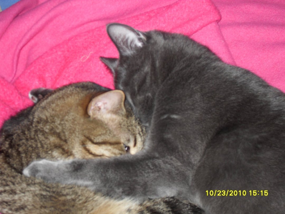 Lisa Deloria's album, Cover Photos