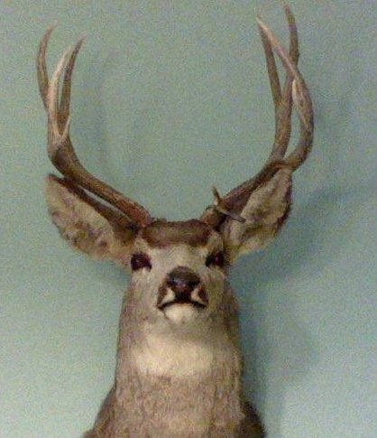 Brian Blagdon's album, Profile Pictures