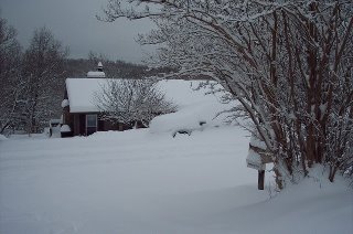 Lynn Gillette's album, Winter Wonderland