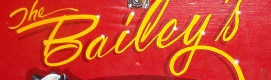 Mindy Bailey's album, Profile Pictures