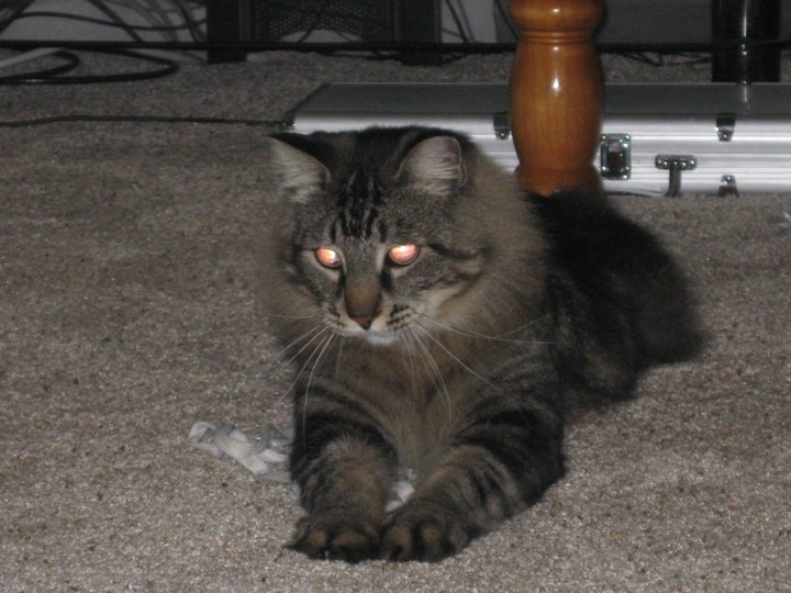Wanda Hogaboom's album, December 3, 2010