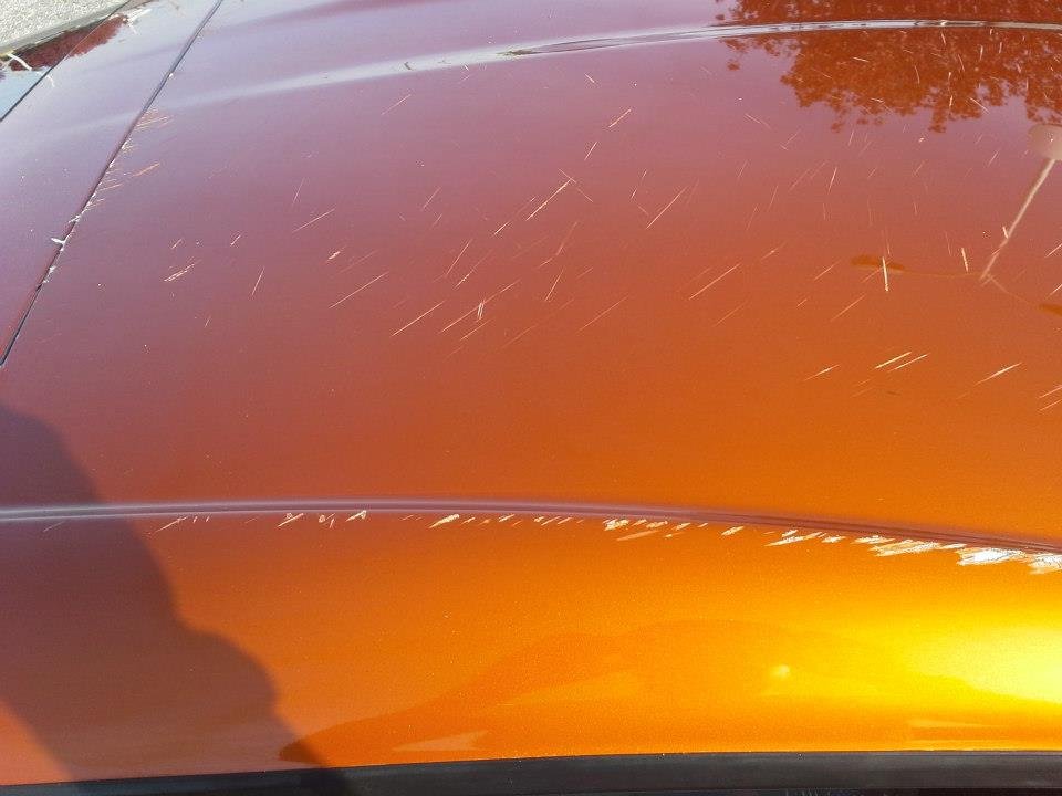 Wes Butler's album, Damage from yesterday when my roof flew off