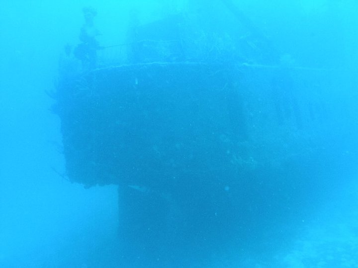 Garry Cardwell's album, Roatan Honduras 6-2010