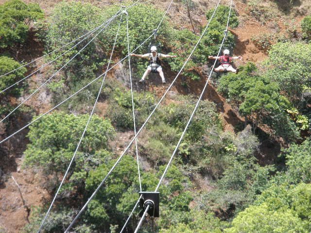 Philip Brown's album, Maui 2010