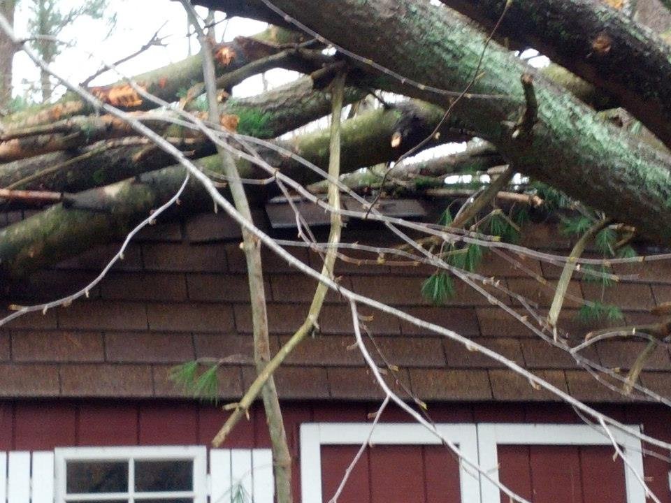 David Albin's album, Damage to Mom's house from Sandy