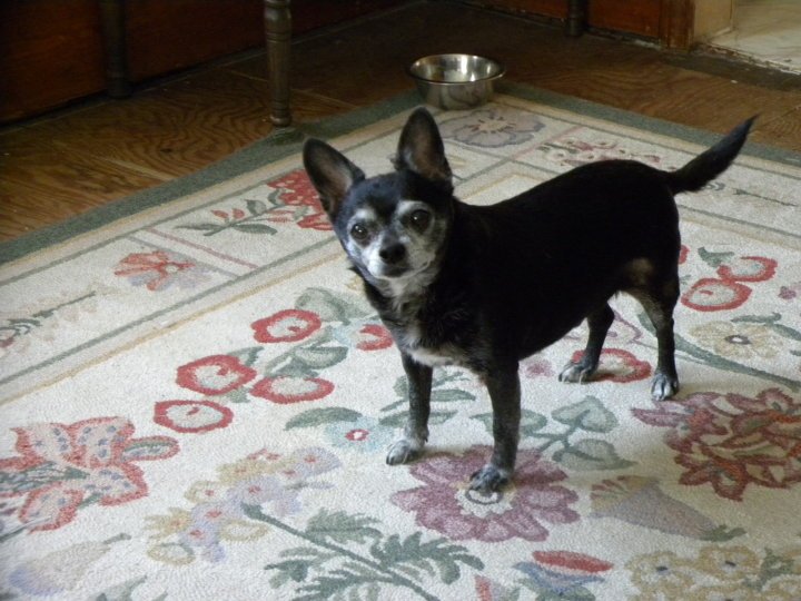 jeff barton's album, chunk