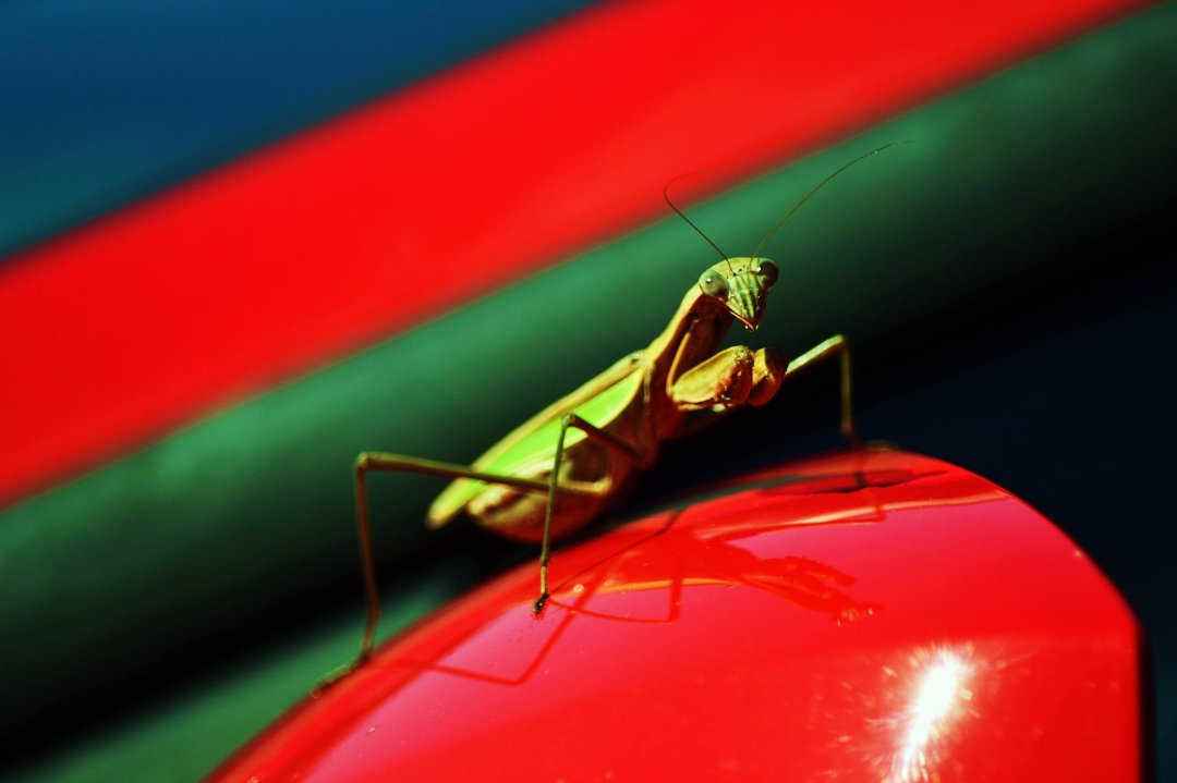Tracey McCarthy's album, Cover Photos