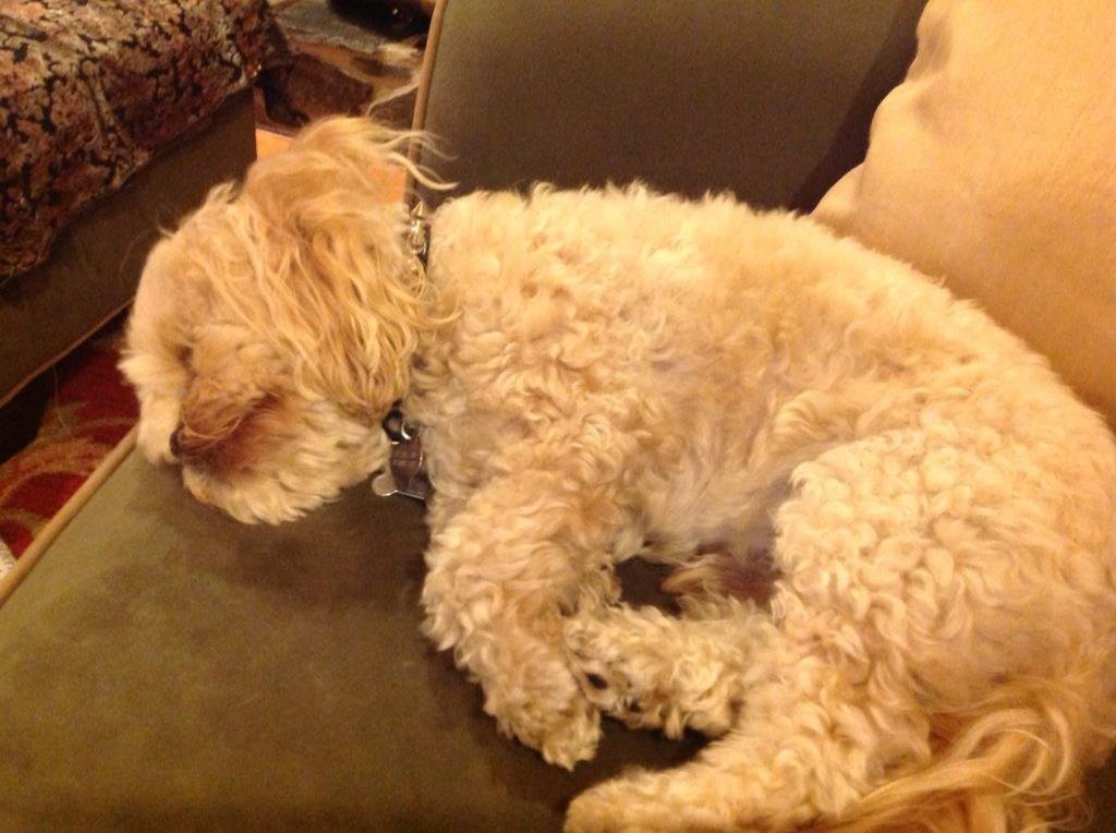Jack Bonczyk's album, iOS Photos