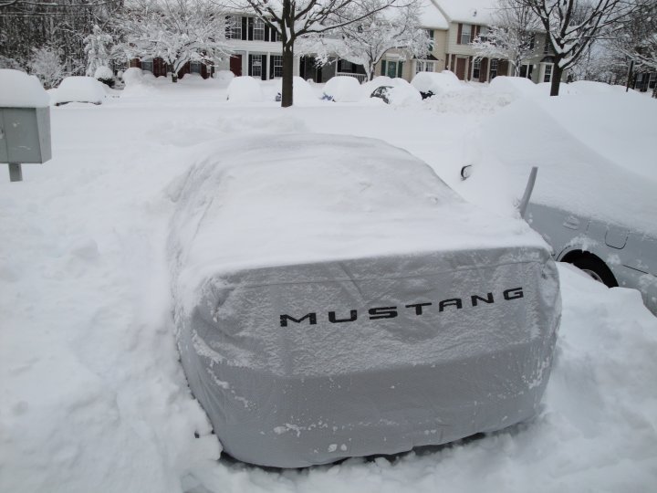 Bruce Van Duzer's album, February 6, 2010 Snowstorm