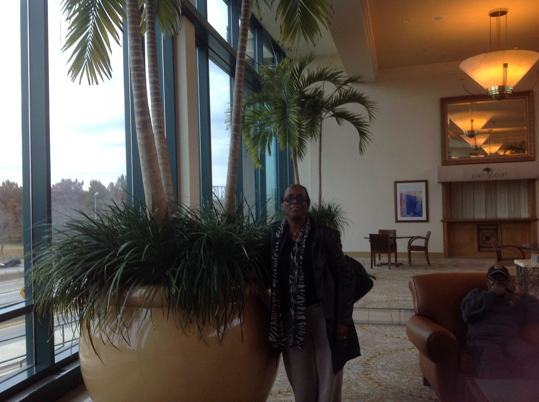 Gail Joseph's album, St Louis trip