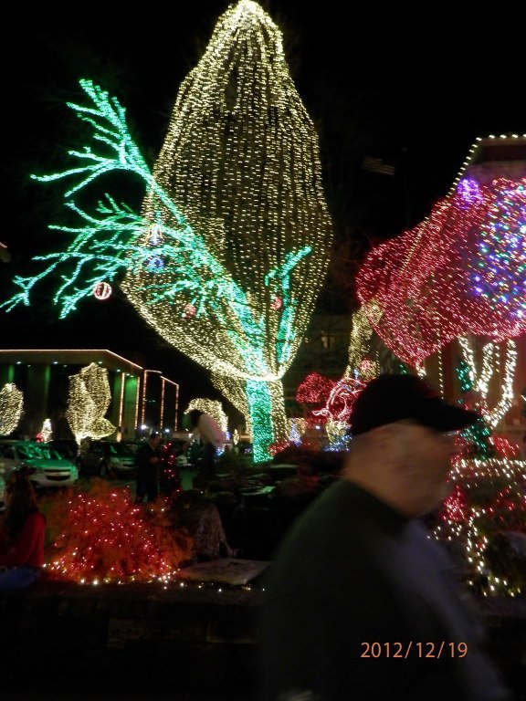 Kim Carlton's album, Lights of the Ozarks