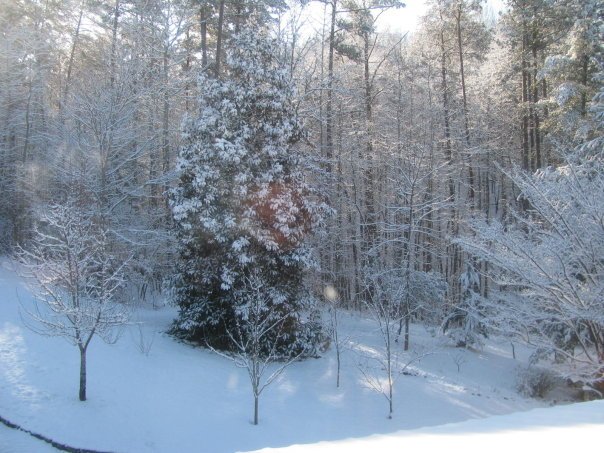 Tom Hellgeth's album, Snow time at Rogers Creek