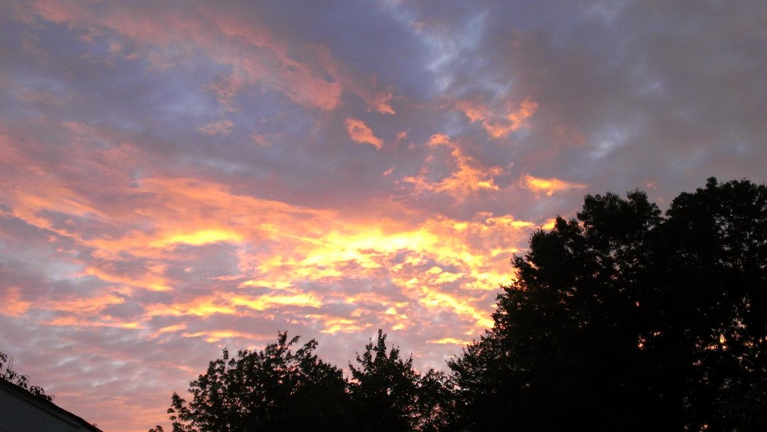 Michael Petrilli's album, Mobile Uploads
