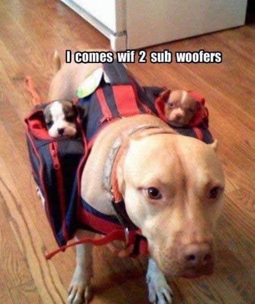 Danny Davis' album, Timeline Photos