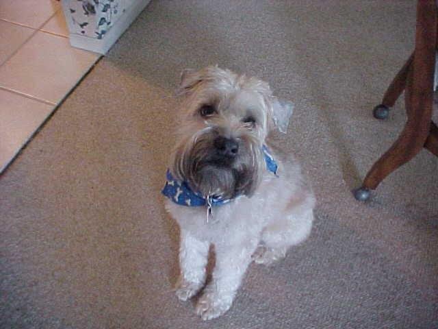 Sandra Dickerson's album, Murphy