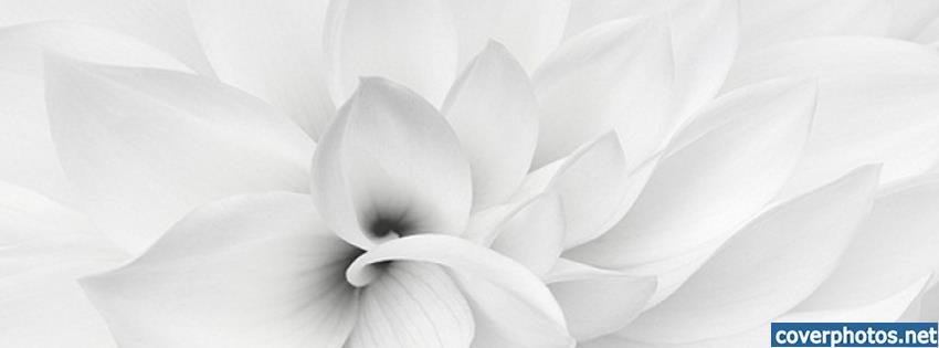 Jenean McCluney's album, Cover Photos