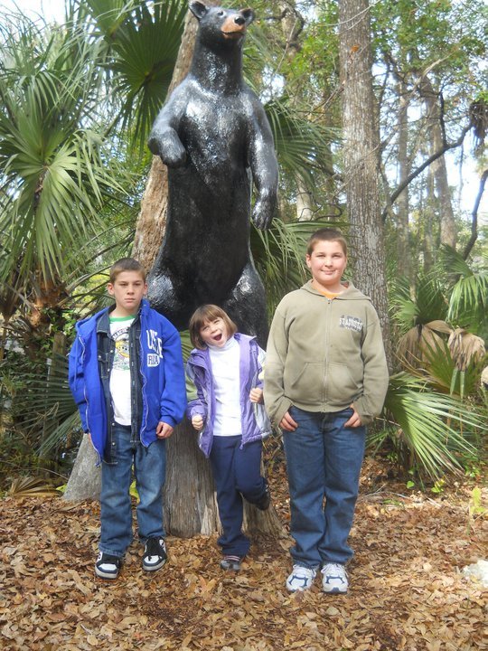 jerri burdo's album, visiting the manatees