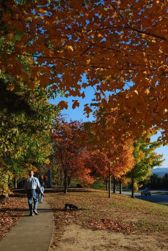 Michael Fingerle's album, FALL 2010