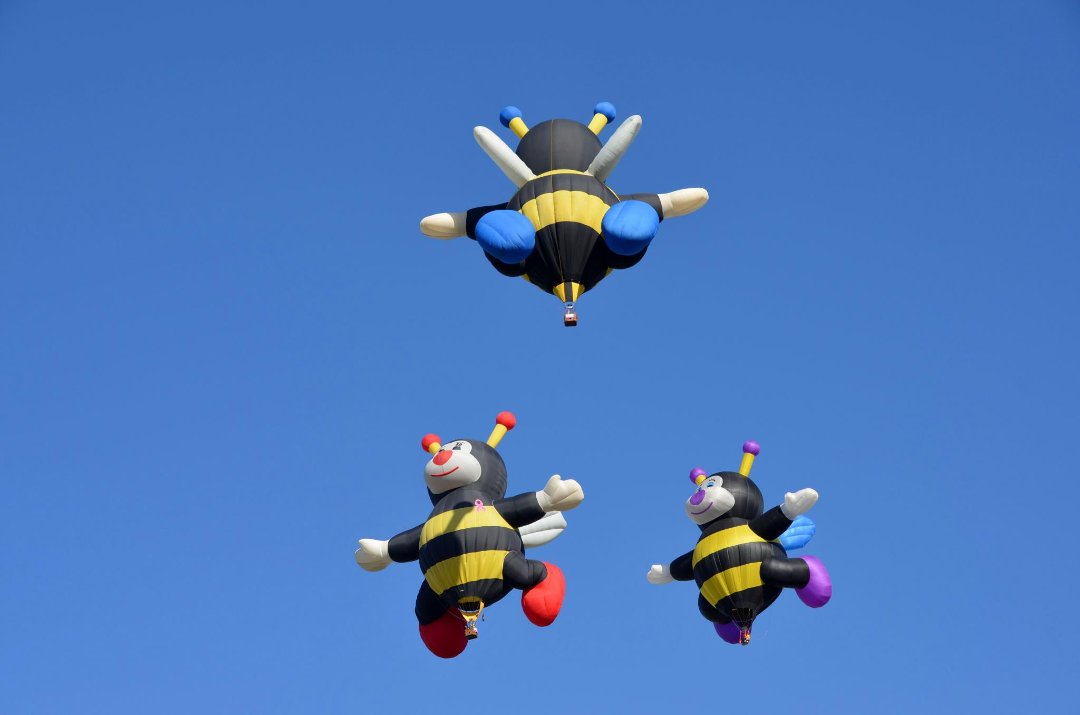 Ray Pohl's album, Balloon Fiesta 2011
