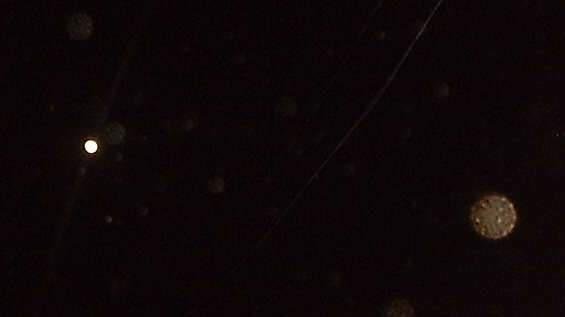 phillip glindmeyer's album, Orbs & Things