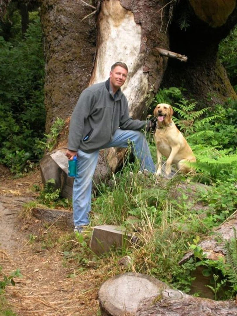 Stuart Campbell's album, Profile Pictures