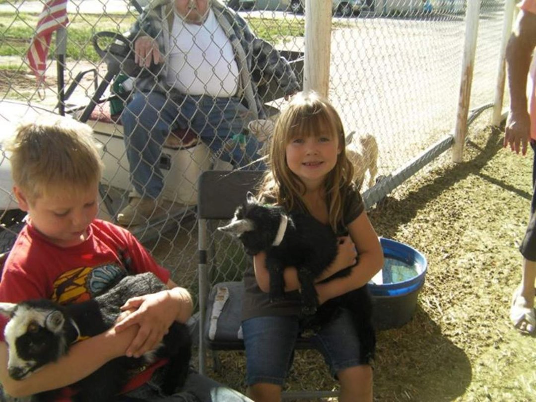 Terri Ellert's album, Baby Goats