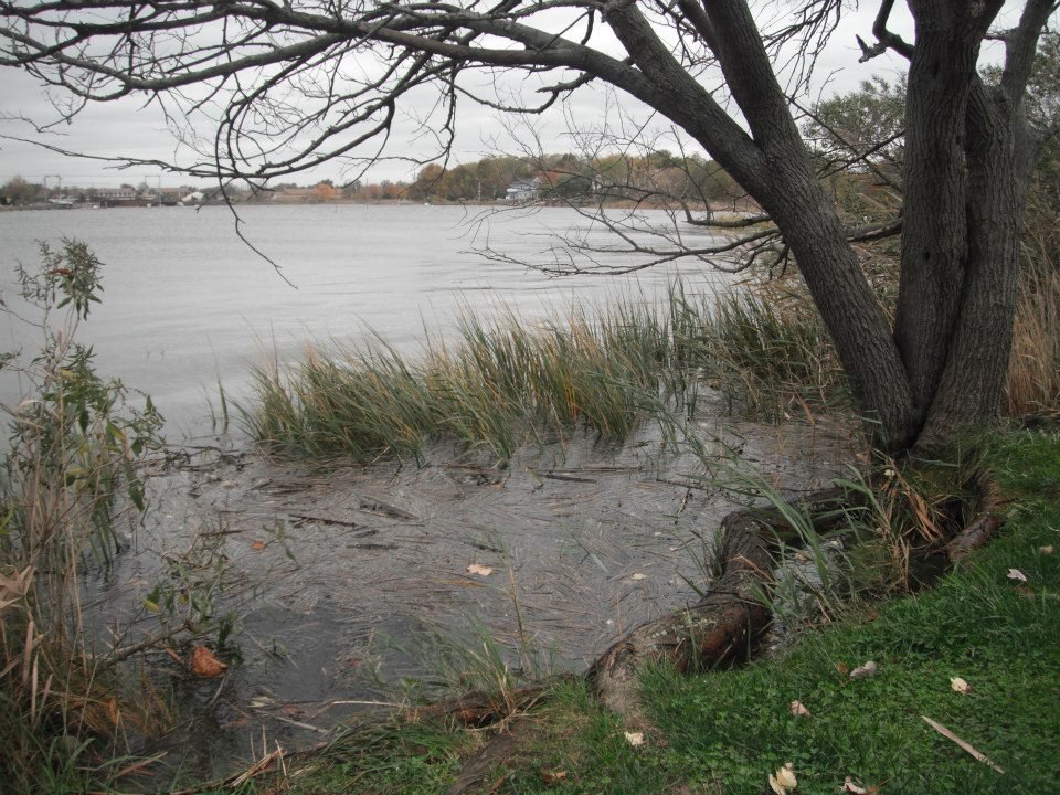Brian Hunter's album, Sandy - just after high tide