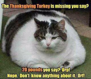 Sharon Lane's album, Timeline Photos