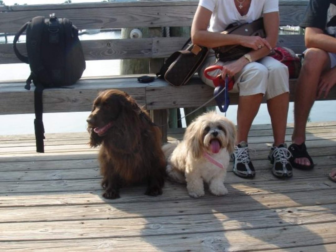 Donna Crompton's album, Family