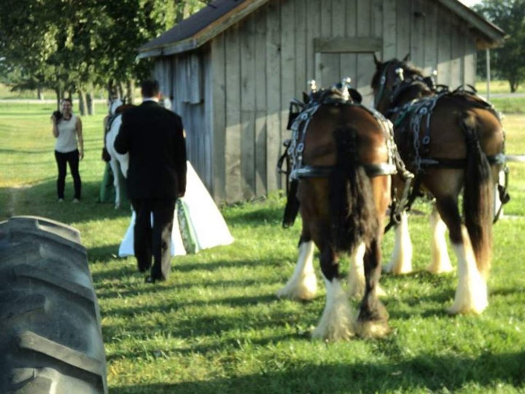 Lorrie Campbell's album, wedding 8/17/2013